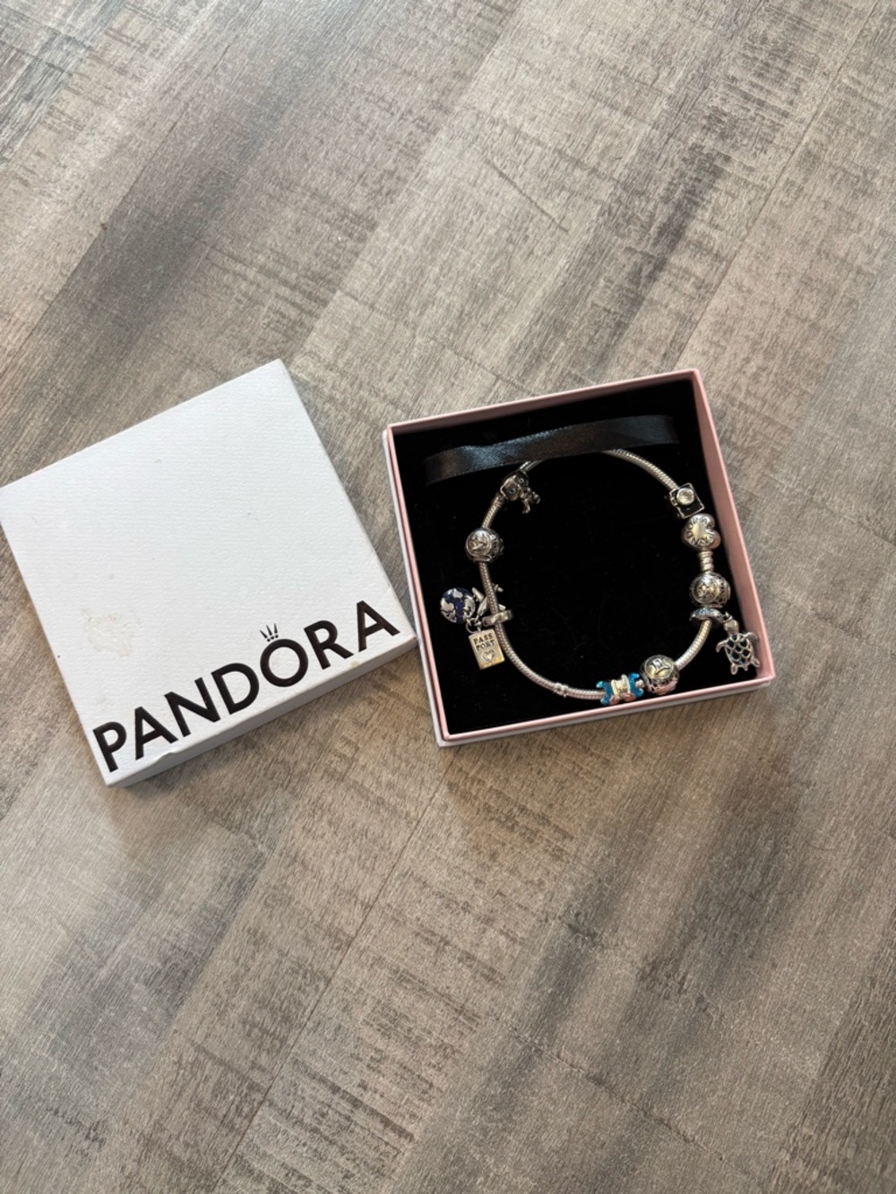 Pandora Silver Charm Bracelet includes 9 Silver Charms